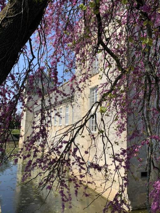 Chateau De Mornay Saint-Pierre-de-l'Isle