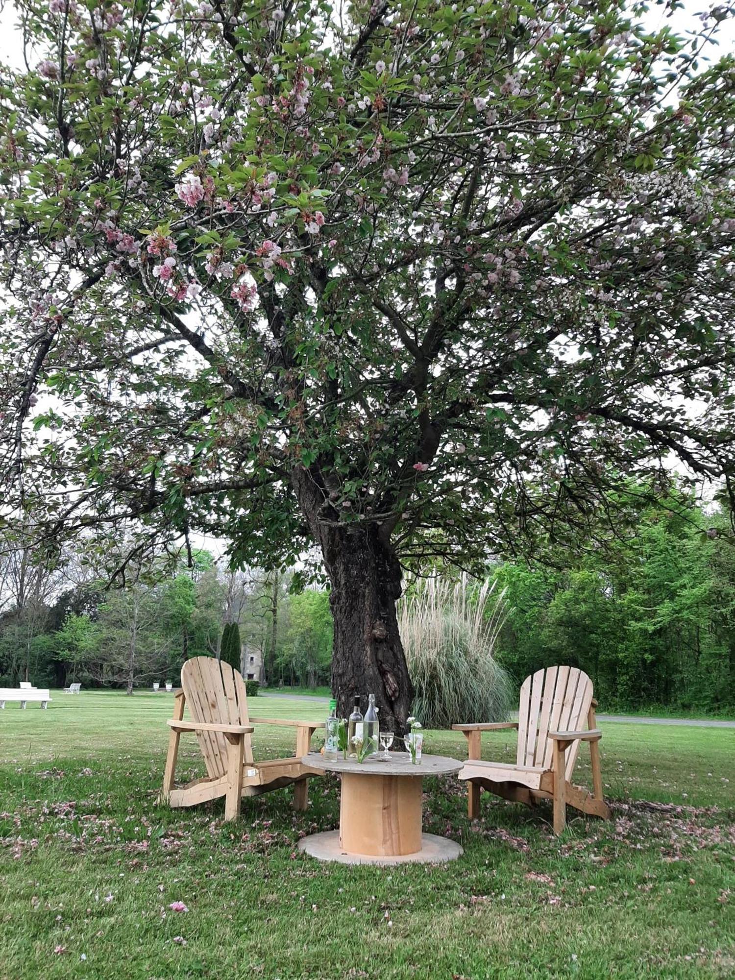 Chateau De Mornay Apartment